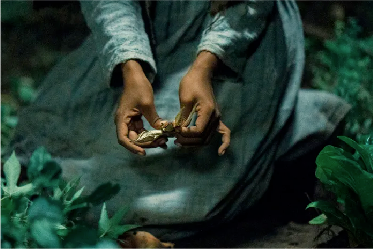 Cora, a young Black woman in a gray dress, kneels in a garden holding a dried okra pod open in both hands to gather its seeds